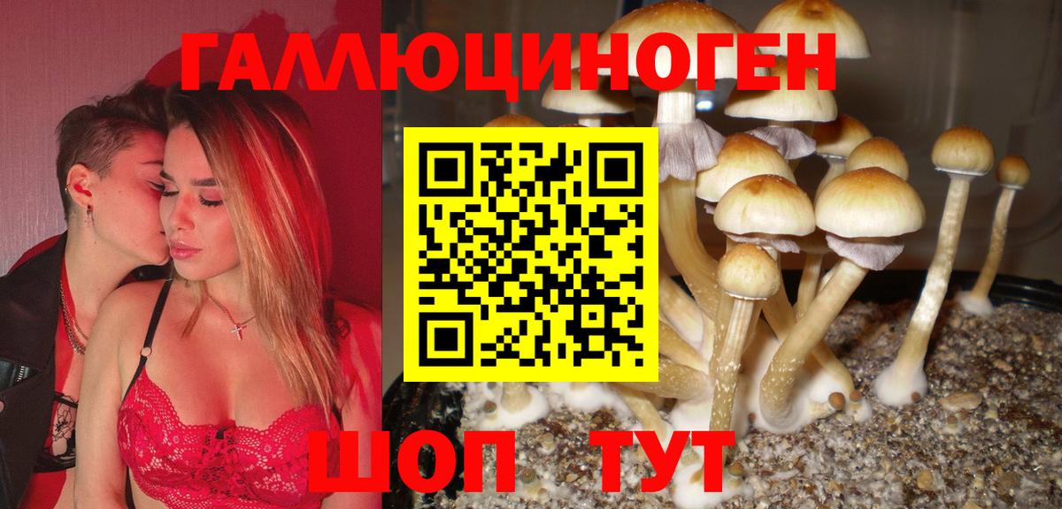 Тайшет  Псилоцибиновые грибы ЛСД  Псилоцибиновые грибы прущие грибы  Вход с VPN 
